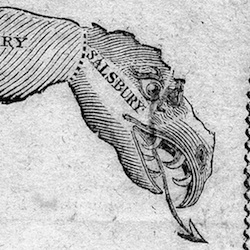 The Gerrymander of Massachusetts